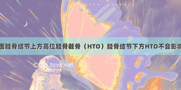 对比双平面胫骨结节上方高位胫骨截骨（HTO）胫骨结节下方HTO不会影响髌骨高度