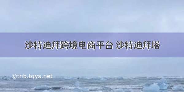 沙特迪拜跨境电商平台 沙特迪拜塔