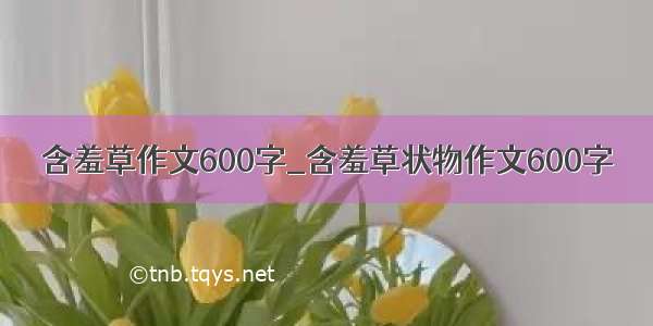 含羞草作文600字_含羞草状物作文600字