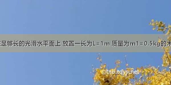 如图所示 在足够长的光滑水平面上 放置一长为L=1m 质量为m1=0.5kg的木板A 一质量