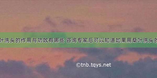 桑叶洗头的作用与功效有哪些 咨询专家后可以知道如果用桑叶洗头的话