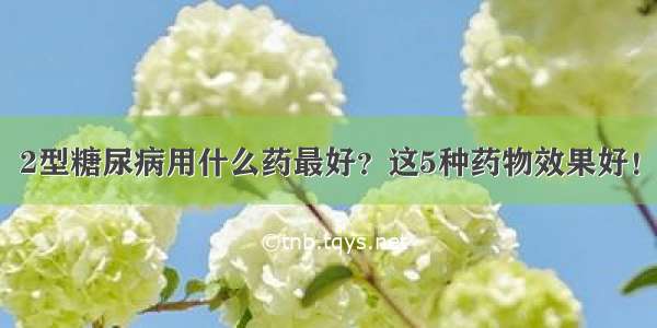 2型糖尿病用什么药最好？这5种药物效果好！