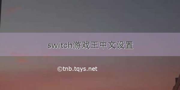 switch游戏王中文设置