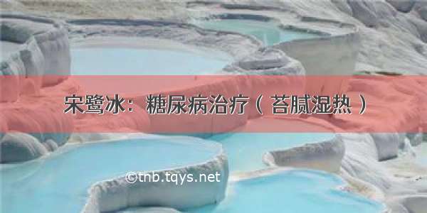 宋鹭冰：糖尿病治疗（苔腻湿热）