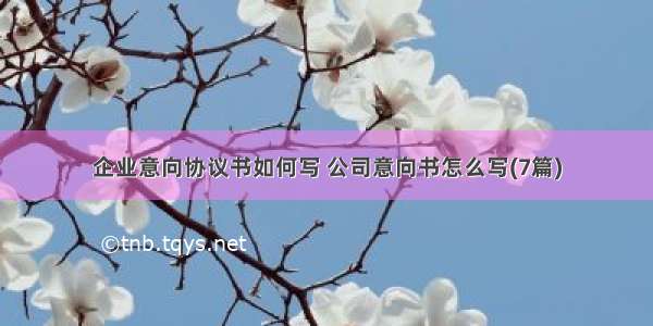 企业意向协议书如何写 公司意向书怎么写(7篇)