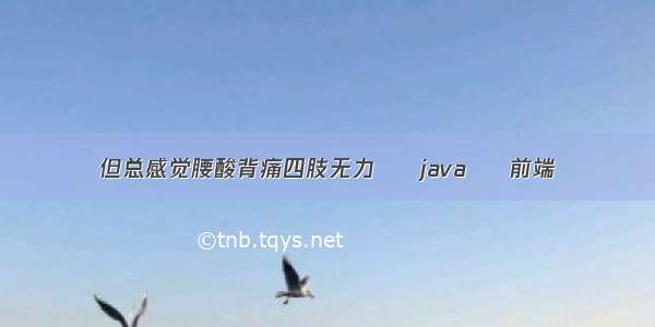 但总感觉腰酸背痛四肢无力 – java – 前端