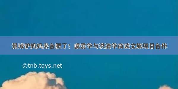 景域驴妈妈来合肥了！虞爱华与洪清华商谈文旅项目合作