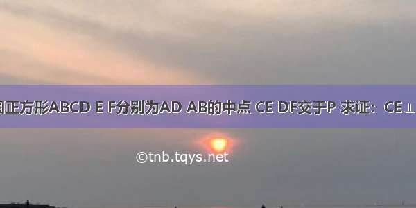 如图正方形ABCD E F分别为AD AB的中点 CE DF交于P 求证：CE⊥DF．