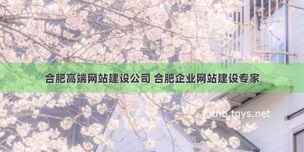 合肥高端网站建设公司 合肥企业网站建设专家