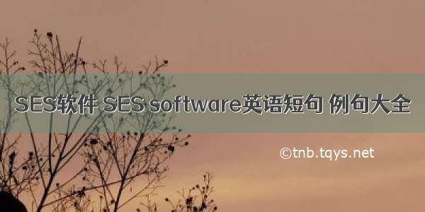 SES软件 SES software英语短句 例句大全