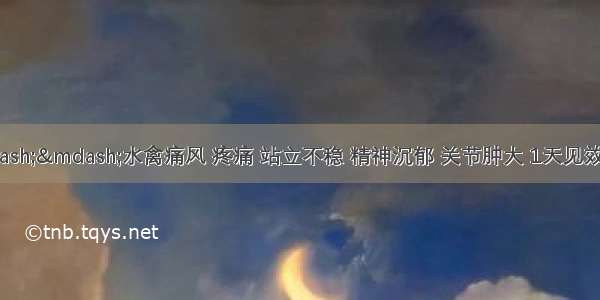 痛风速康——水禽痛风 疼痛 站立不稳 精神沉郁 关节肿大 1天见效 两天控制大群