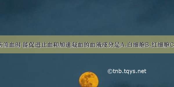 当身体某处受伤流血时 能促进止血和加速凝血的血液成分是A.白细胞B.红细胞C.血小板D.血糖