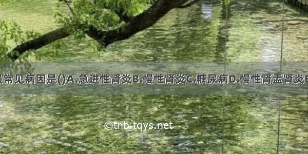 慢性肾衰竭的最常见病因是()A.急进性肾炎B.慢性肾炎C.糖尿病D.慢性肾盂肾炎E.高血压ABCDE