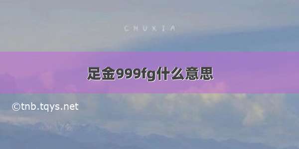 足金999fg什么意思