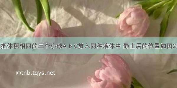 单选题把体积相同的三个小球A B C放入同种液体中 静止后的位置如图2所示 它