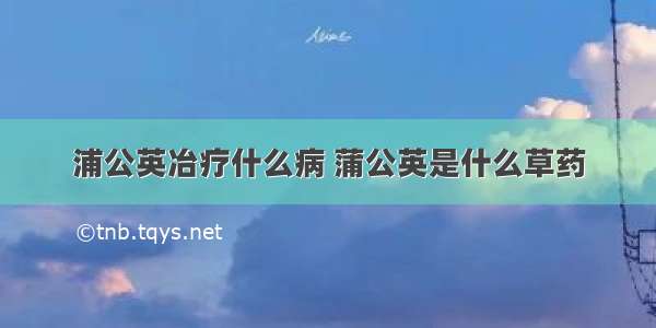 浦公英冶疗什么病 蒲公英是什么草药