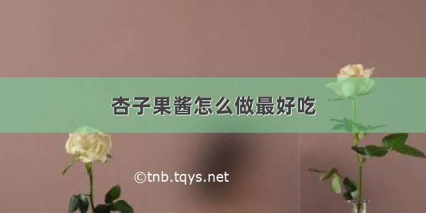 杏子果酱怎么做最好吃