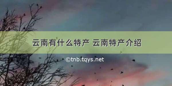 云南有什么特产 云南特产介绍