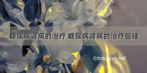 糖尿病肾病的治疗 糖尿病肾病的治疗包括