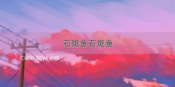 石斑鱼石斑鱼