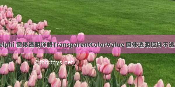 delphi 窗体透明详解TransparentColorValue 窗体透明控件不透明