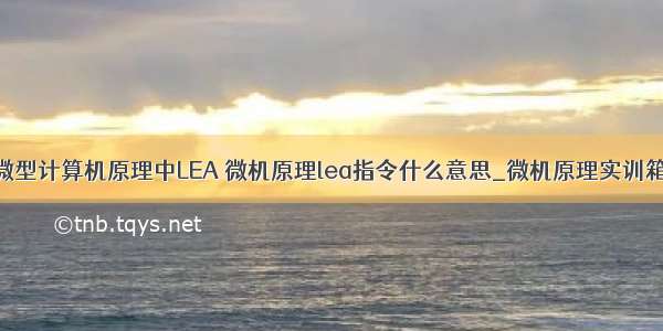 微型计算机原理中LEA 微机原理lea指令什么意思_微机原理实训箱