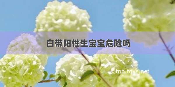 白带阳性生宝宝危险吗