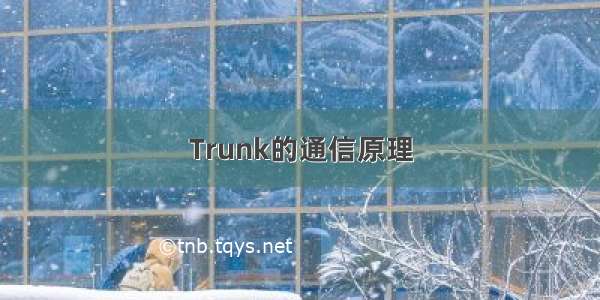 Trunk的通信原理