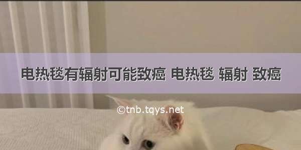 电热毯有辐射可能致癌 电热毯 辐射 致癌