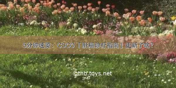 5分钟速览：CSCO 「肝癌诊疗指南」更新了啥？