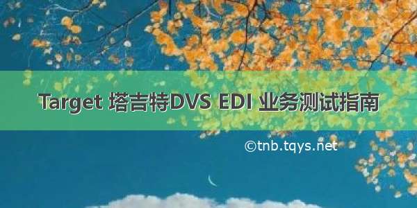 Target 塔吉特DVS EDI 业务测试指南