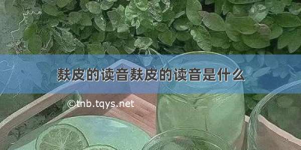 麸皮的读音麸皮的读音是什么