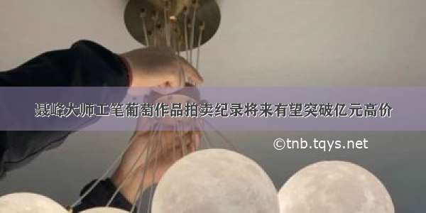 聂峰大师工笔葡萄作品拍卖纪录将来有望突破亿元高价