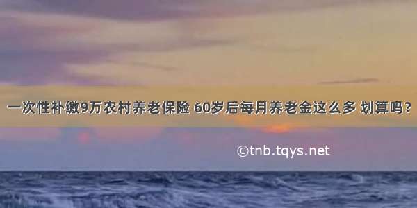 一次性补缴9万农村养老保险 60岁后每月养老金这么多 划算吗？