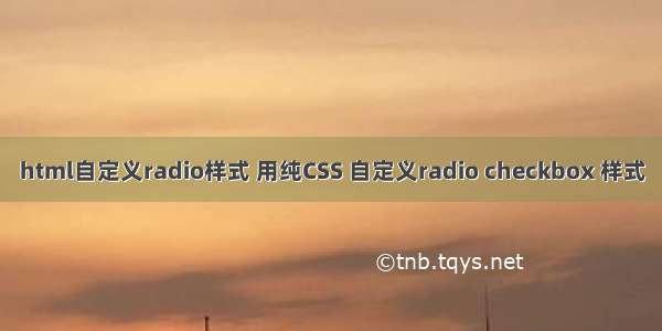 html自定义radio样式 用纯CSS 自定义radio checkbox 样式