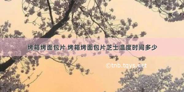 烤箱烤面包片 烤箱烤面包片芝士温度时间多少