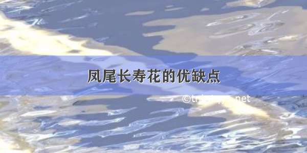 凤尾长寿花的优缺点