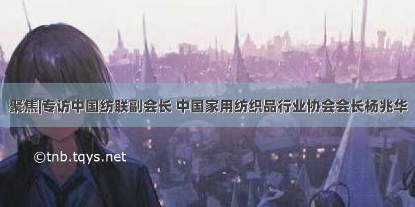 聚焦|专访中国纺联副会长 中国家用纺织品行业协会会长杨兆华