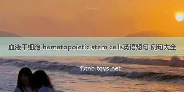 血液干细胞 hematopoietic stem cells英语短句 例句大全