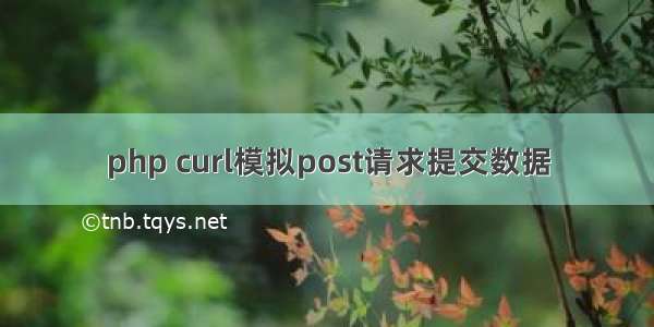 php curl模拟post请求提交数据