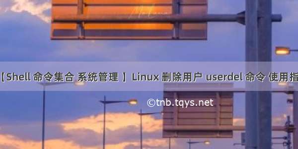 【Shell 命令集合 系统管理 】Linux 删除用户 userdel 命令 使用指南