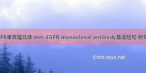 抗EGFR单克隆抗体 anti-EGFR monoclonal antibody英语短句 例句大全