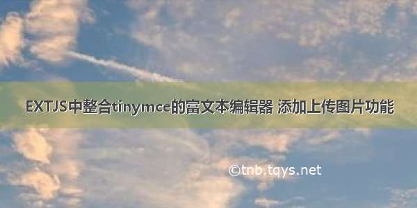 EXTJS中整合tinymce的富文本编辑器 添加上传图片功能