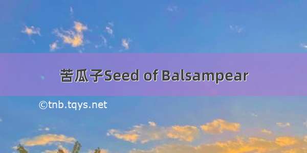 苦瓜子Seed of Balsampear