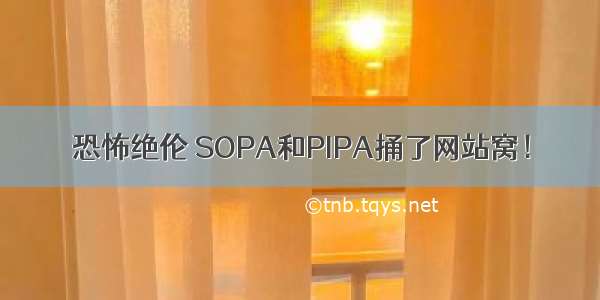 恐怖绝伦 SOPA和PIPA捅了网站窝！