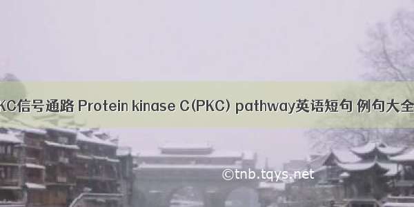 PKC信号通路 Protein kinase C(PKC) pathway英语短句 例句大全