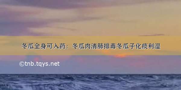 冬瓜全身可入药：冬瓜肉清肺排毒冬瓜子化痰利湿