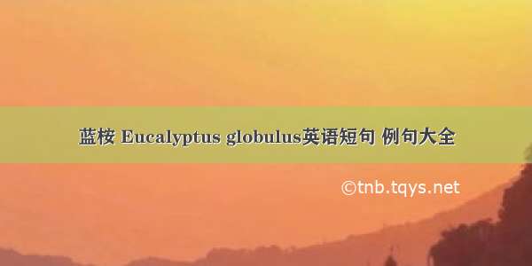 蓝桉 Eucalyptus globulus英语短句 例句大全