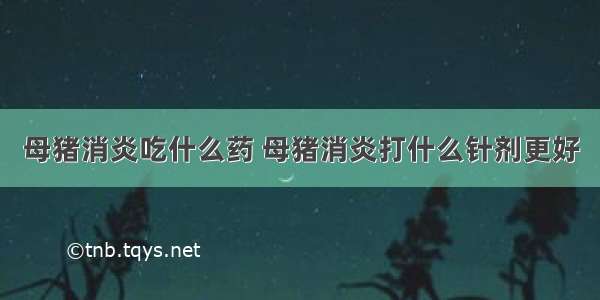 母猪消炎吃什么药 母猪消炎打什么针剂更好