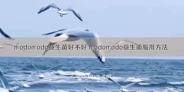 modomodo益生菌好不好 modomodo益生菌服用方法